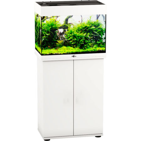 Аквариум Биодизайн Риф 60 (60 литров)