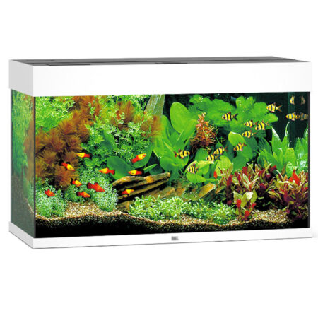 Аквариум Juwel Rio 125 белый