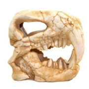 Грот DEKSI Динозавры №1002