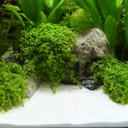 Грунт природный Dennerle Plantahunter Beach 0.1-0.6мм (белоснежный) 5кг