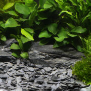 Грунт природный Dennerle Kongo 10-30мм (серый), 2,5кг