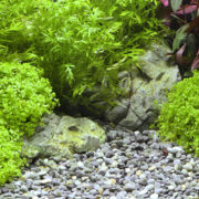 Грунт природный Dennerle Okavango 4-8мм (коричнево-серый), 500г