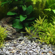 Грунт природный Dennerle Okavango 8-12мм (коричнево-серый), 500г