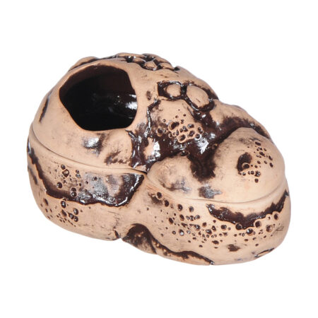 Декорация GLOXY Влажная камера S 10х6х6 см