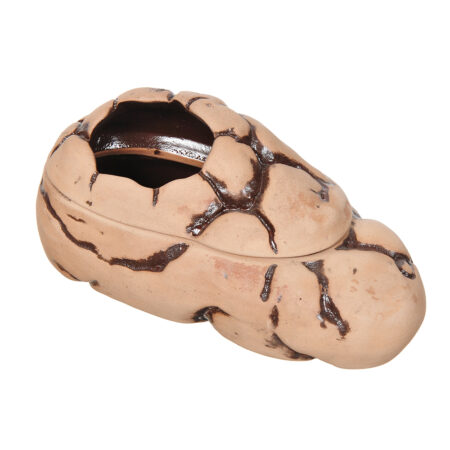 Декорация GLOXY Влажная камера L (светлая) 18х9х10 см