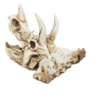 Декорация Nomoy Pet Череп трицератопса L 17х11.5х11.5см