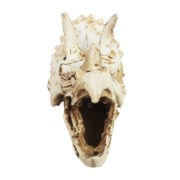 Декорация Nomoy Pet Череп трицератопса L 17х11.5х11.5см