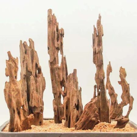 Декорация природная PRIME Коряга Дракон L 30-40 см (упаковка 20кг +/-5%)