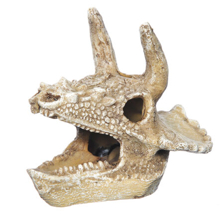Декорация пластиковая PRIME Череп трицератопса 14,3х12х9,7 см