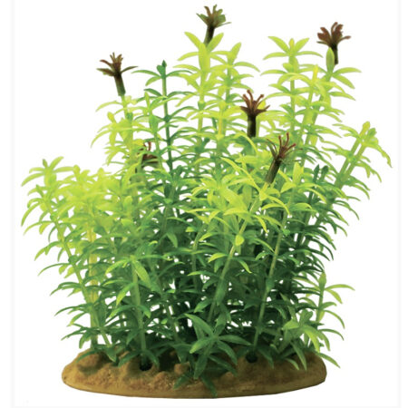 Растение пластиковое PRIME Гигрофила 15см