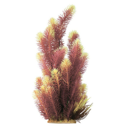 Растение пластиковое PRIME Ротала желтая 38см