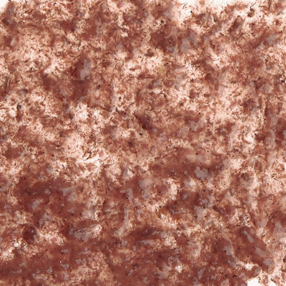 Корм для рыб Tetra FreshDelica Brine Shrimps 48г желе сушеной креветки