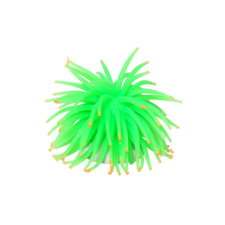 Коралл силиконовый на керамической основе, зеленый, 4.5х4.5х4см