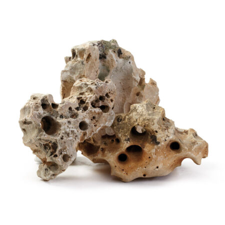 Камень Meyer многодырчатый (за 1 кг)