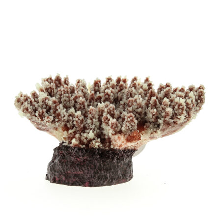 Коралл пластиковый (мягкий) перламутровый 21х18х8,5см