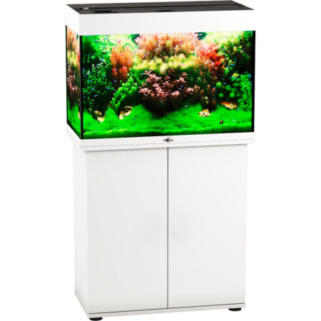 Аквариум Биодизайн Риф 110 (104 литра)