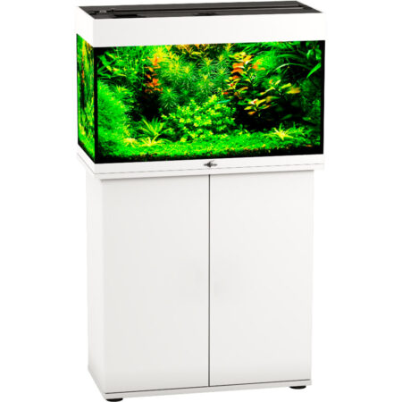 Аквариум Биодизайн Риф 80 (80 литров)